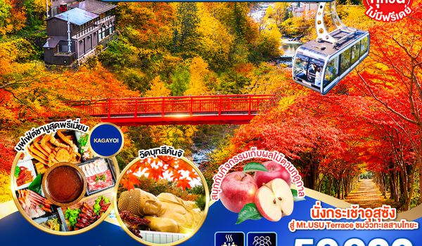 GO2CTS-TG075 HOKKAIDO PREMIUM HAKODATE JOZANKEI Private Onsen 6D 4N โดยสายการบินการบินไทย [TG]