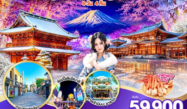 QQGO2HND-TG059 TOKYO OSAKA ILLUMINATION CHRISTMAS & NEW YEAR 6D 4N โดยสายการบินไทย [TG]