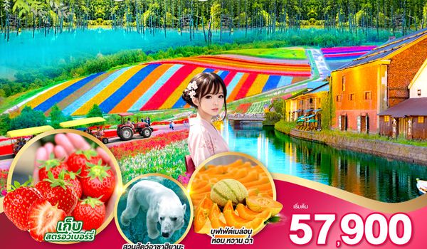 QQGO2CTS-TG082 HOKKAIDO OTARU FURANO FRUIT & FLOWER 6D 4N โดยสายการบินไทย [TG]