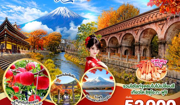 GO2KIX-TG088 OSAKA KYOTO FUJI TOKYO  AUTUMN FRUIT PARK  6D 4N โดยสายการบินไทย [TG]