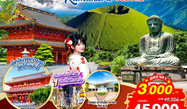 GO2HND-TG057 TOKYO FUJI YOKOHAMA KAMAKURA 6D 3N โดยสายการบินไทย [TG]