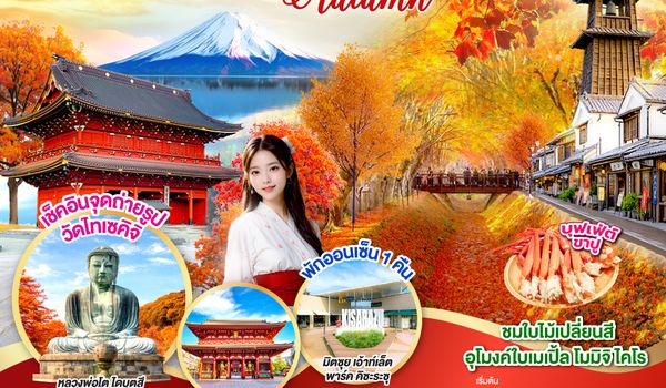 GO2HND-TG052 TOKYO FUJI MOMIJI KAIRO AUTUMN 6D 3N  โดยสายการบินไทย [TG]