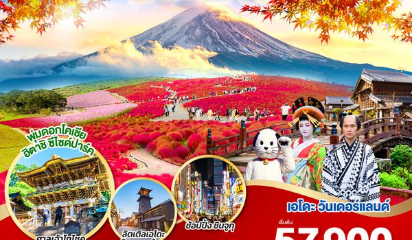 GO2NRT-TG078 NIKKO EDO WONDERLAND HITACHIKOCHIA  6D 4N โดยสายการบินไทย [TG]
