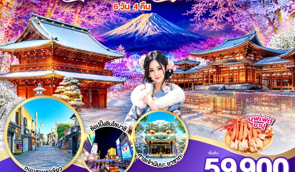GO2HND-TG059 TOKYO OSAKA ILLUMINATION CHRISTMAS & NEW YEAR 6D 4N โดยสายการบินไทย [TG]