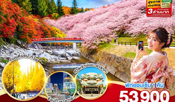GO2HND-TG056 TOKYO OSAKA OBARA KORANKEI AUTUMN  6D 4N โดยสายการบินไทย [TG]