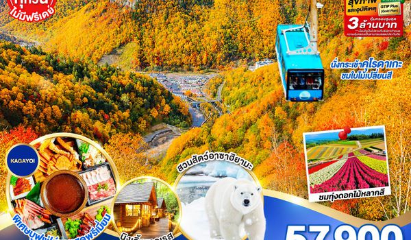 GO2CTS-TG072 HOKKAIDO SOUNKYO First Love AUTUMN 6D 4N โดยสายการบินไทย [TG]