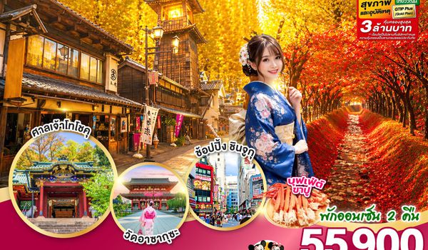 GO2NRT-TG100 TOKYO FUJI NIKKO MOMIJI AUTUMN 6D 4N  โดยสายการบินไทย [TG]