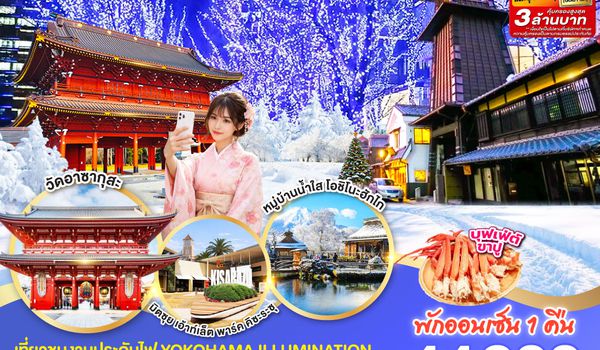 GO2HND-TG053 TOKYO FUJI YOKOHAMA WINTER LIGHT UP  6D 3N โดยสายการบินไทย [TG]