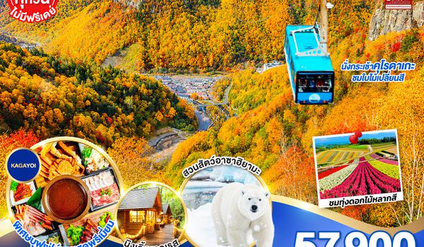 GO2CTS-TG072 HOKKAIDO SOUNKYO First Love AUTUMN 6D 4N โดยสายการบินไทย [TG]