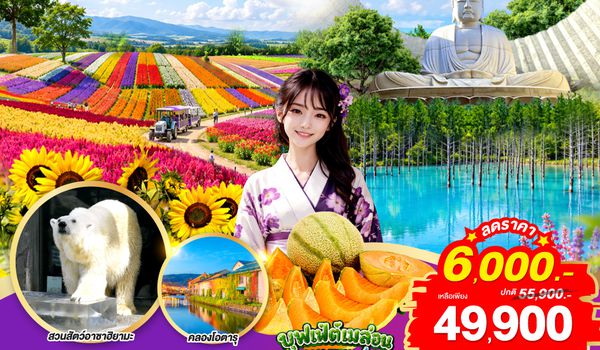 GO2CTS-TG085 HOKKAIDO OTARU FURANO FLOWER SUPER SAVE 6D 4N โดยสายการบินไทย [TG]