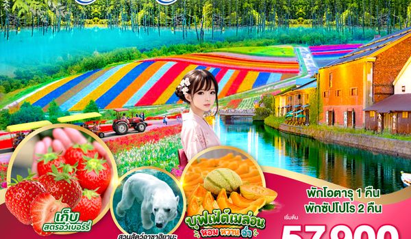 GO2CTS-TG082 HOKKAIDO OTARU FURANO FRUIT & FLOWER 6D 4N โดยสายการบินไทย [TG]
