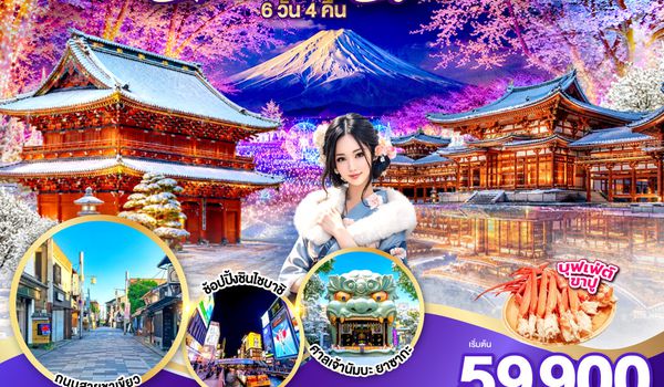 GO2HND-TG059 TOKYO OSAKA ILLUMINATION CHRISTMAS & NEW YEAR 6D 4N โดยสายการบินไทย [TG]