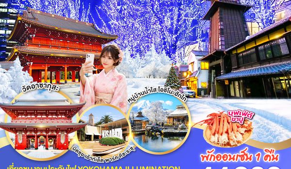 GO2HND-TG053 TOKYO FUJI YOKOHAMA WINTER LIGHT UP  6D 3N โดยสายการบินไทย [TG]
