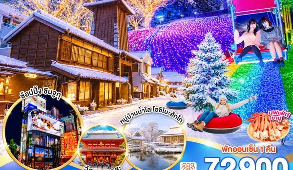 GO2NRT-TG103 TOKYO FUJI ILLUMINATION SKI WINTER  NEW YEAR 6D 4N โดยสายการบินไทย [TG]