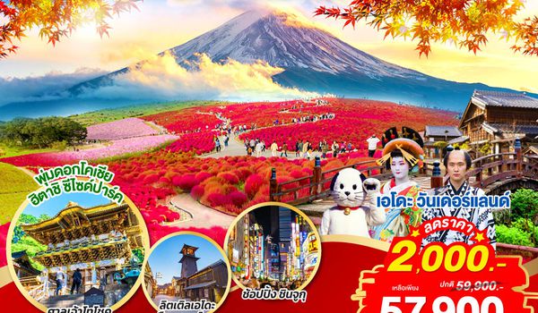 GO2NRT-TG078 NIKKO EDO WONDERLAND HITACHIKOCHIA  6D 4N โดยสายการบินไทย [TG]