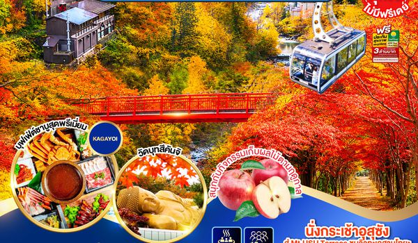 GO2CTS-TG075 HOKKAIDO PREMIUM HAKODATE JOZANKEI Private Onsen 6D 4N โดยสายการบินการบินไทย [TG]