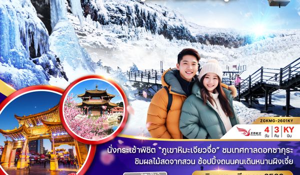 ZGKMG-2601KY จีน คุนหมิง เจียวจื่อ ซากุระ