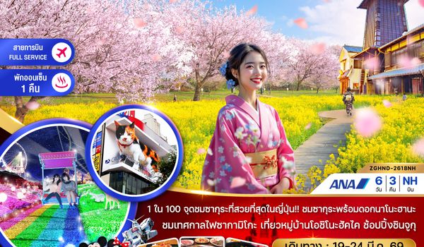 ZGHND-2618NH โตเกียว ฮาเนดะ เทศกาลไฟซากามิโกะ ไซตามะ ชมซากุระ (เที่ยวอิสระ 1 วัน)