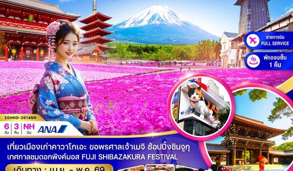 ZGHND-2614NH โตเกียว ฟูจิ คาวาโกเอะ พิงค์มอส (เที่ยวอิสระ 1 วัน)