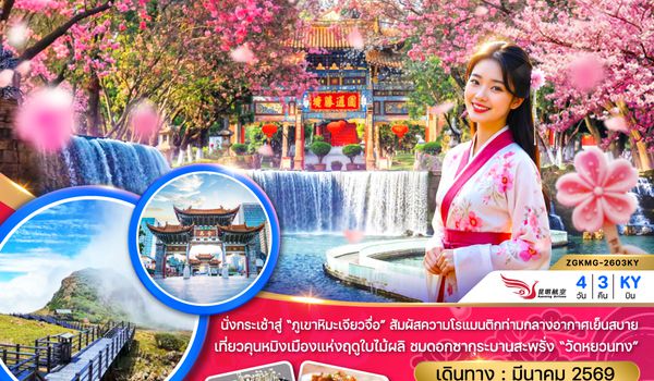 ZGKMG-2603KY จีน คุนหมิง ภูเขาหิมะเจียวจื่อ ซากุระหยวนทง