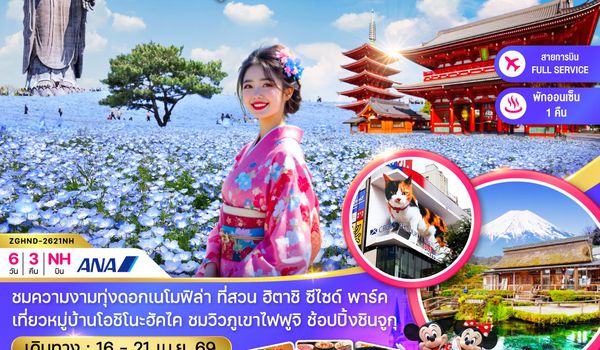 ZGHND-2621NH โตเกียว ฟูจิ อิบารากิ ชมดอกเนโมฟีล่า (เที่ยวอิสระ 1 วัน)