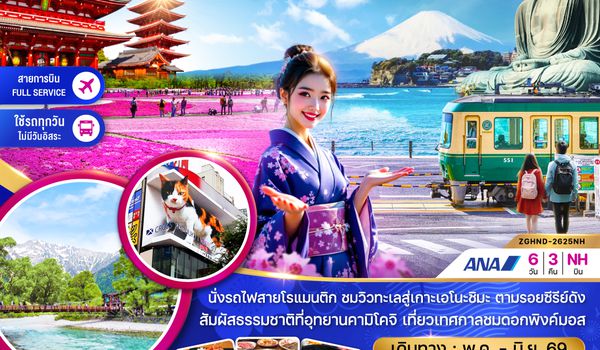 ZGHND-2625NH โตเกียว ฟูจิ พิงค์มอส คามิโคจิ คามาคุระ (เที่ยวครบทุกวัน)