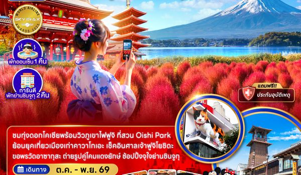 ZGNRT-2619NH โตเกียว ฟูจิ คาวาโกเอะ ทุ่งดอกโคเชีย (พักย่านชินจูจุ 2 คืน)