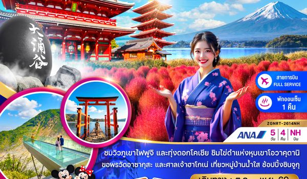 ZGNRT-2614NH โตเกียว นาริตะ ฮาโกเน่ โอวาคุดานิ (ชมทุ่งโคเชีย)