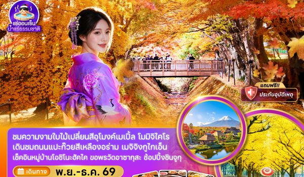 ZGNRT-2633VZ โตเกียว ฟูจิ ถนนแปะก๊วย ชมไบไม้เปลี่ยนสี (เที่ยวเต็มทุกวัน)