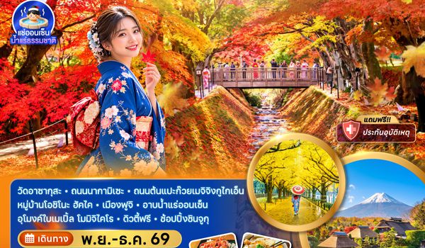 ZGNRT-2640VZ โตเกียว ฟูจิ ถนนแปะก๊วย ชมใบไม้เปลี่ยนสีอุโมงค์เมเปิ้ล