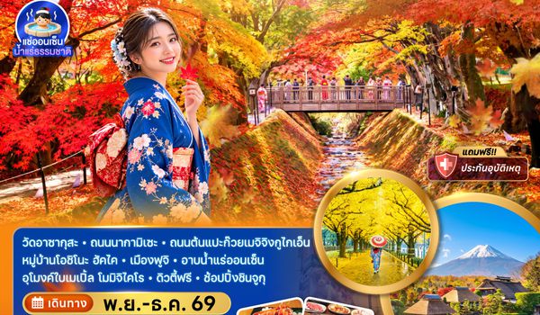ZGNRT-2645VZ โตเกียว ฟูจิ ถนนแปะก๊วย ชมใบไม้เปลี่ยนสีอุโมงค์เมเปิ้ล (อิสระท่องเที่ยว 1 วัน)