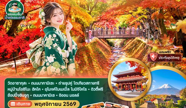 ZGNRT-2644VZ โตเกียว ฟูจิ อุโมงค์เมเปิ้ล ชินจูกุ ชมใบไม้เปลี่ยนสี (เที่ยวเต็ม)