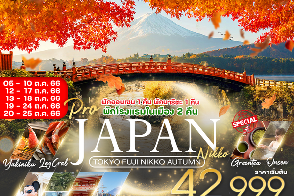 ทัวร์ญี่ปุ่น TOKYO FUJI NIKKO AUTUMN 6 วัน 4 คืน - ชมใบไม้เปลี่ยนสี