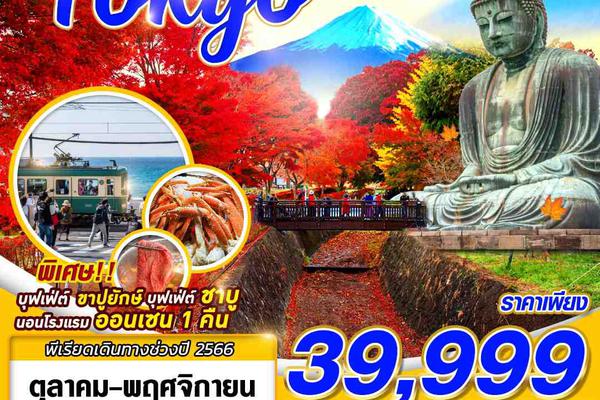 ทัวร์ญี่ปุ่น TOKYO AUTUMN IN LOVE 5D3N - ชมใบไม้เปลี่ยนสี