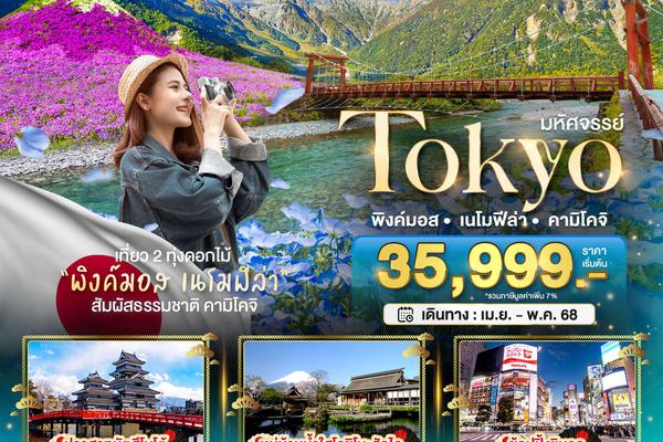 ทัวร์ญี่ปุ่น TOKYO พิงค์มอส เนโมฟีล่า คามิโคจิ 6 วัน 4 คืน
