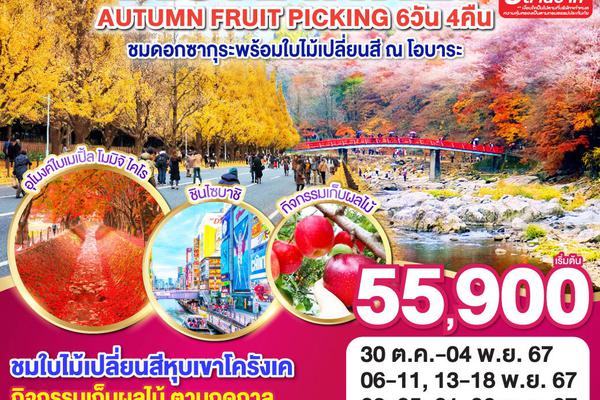 ทัวร์ญี่ปุ่น KORANKEI OBARA SAKURA & AUTUMN FRUIT PICKING 6D 4N