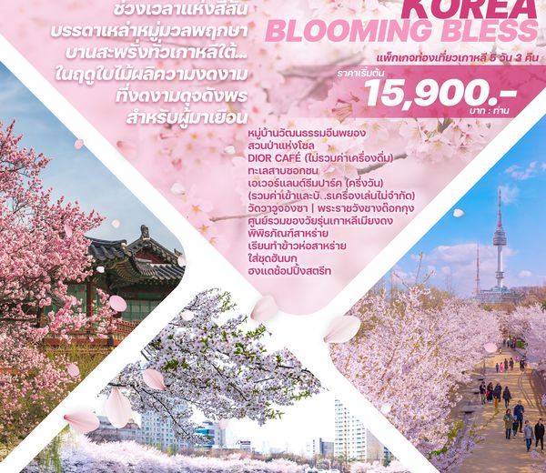KOREA BLOOMING BLESS