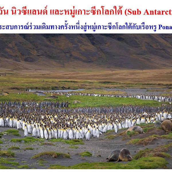 18 วัน นิวซีแลนด์ และหมู่เกาะซีกโลกใต้ (Sub Antarctica)