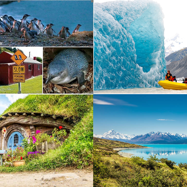 12 วัน เบสท์ ออฟ นิวซีแลนด์ เกาะเหนือ – ใต้ 