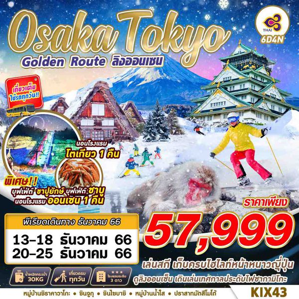 OSAKA TOKYO WINTER GOLDEN ROUTE ลิงออนเซน