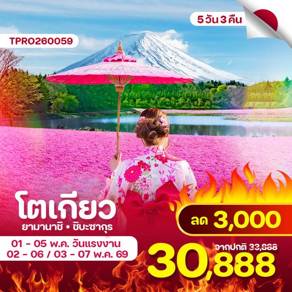 โตเกียว ยามานาชิ ชิบะซากุระ 5 วัน 3 คืน วันแรงงาน ลด 3,000