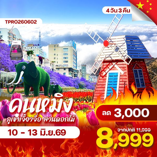 โปรไฟไหม้ จีน คุนหมิง ภูเขาเจี่ยวจือ ชมดอกไม้สีม่วง ลด 3,000.-