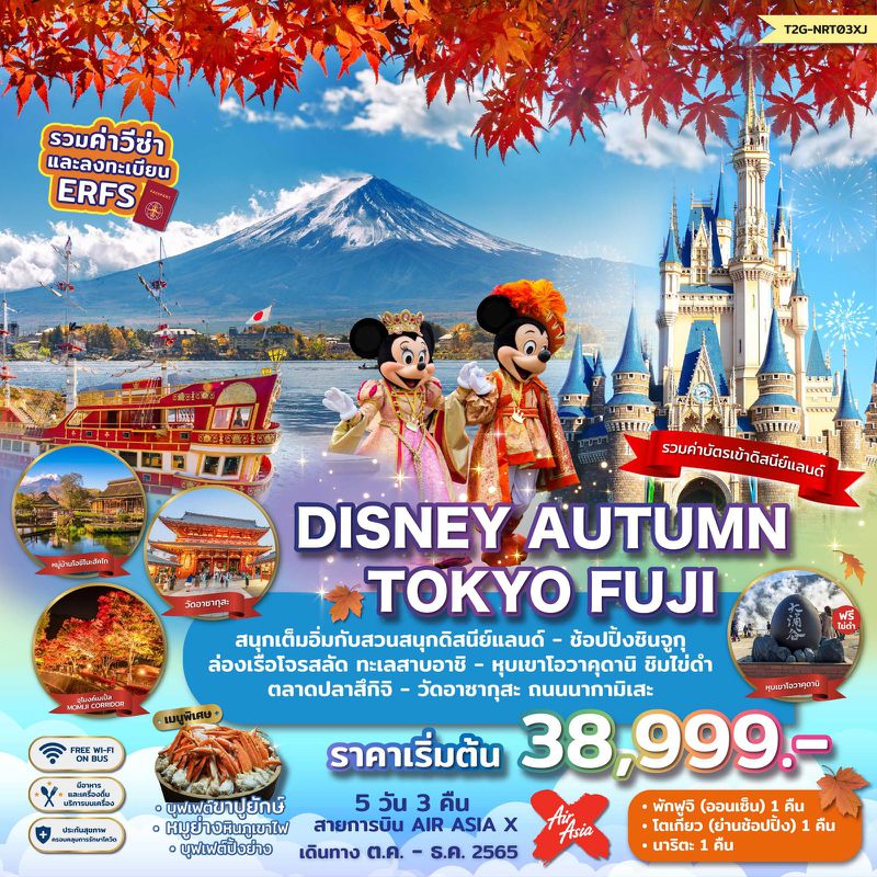 ทัวร์ญี่ปุ่น DISNEY AUTUMN TOKYO FUJI โตเกียว ฟูจิ ดิสนีย์แลนด์ 5วัน 3คืน