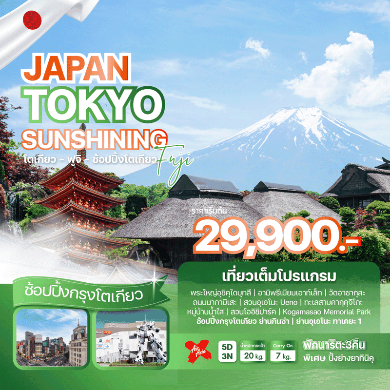 ทัวร์ญี่ปุ่น JAPAN TOKYO SUNSHINING FUJI 5 วัน 3 คืน