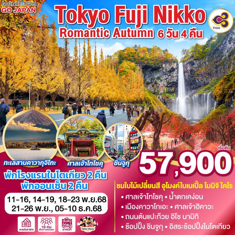ทัวร์ญี่ปุ่น TOKYO FUJI NIKKO ROMANTIC AUTUMN 6 วัน 4 คืน