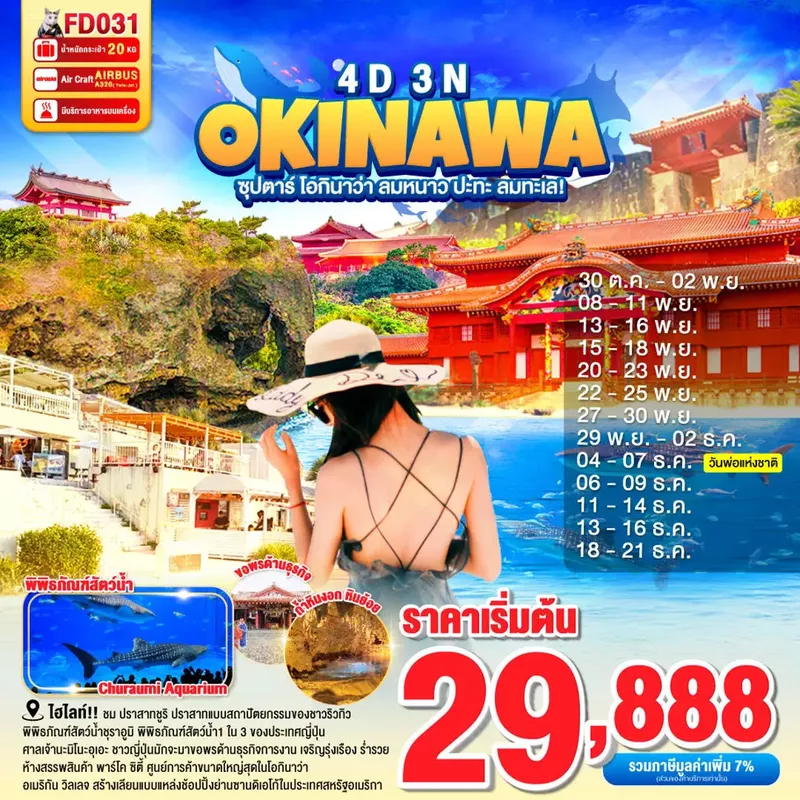 ทัวร์ญี่ปุ่น OKINAWA ซุปตาร์ โอกินาว่า ลมหนาว ปะทะ ลมทะเล! 4 วัน 3 คืน