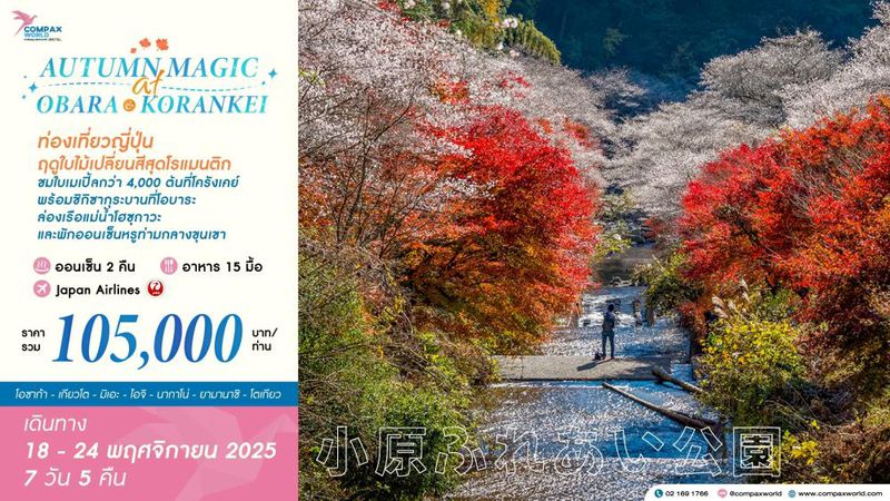 ทัวร์ญี่ปุ่น AUTUMN MAGIC AT OBARA & KORANKEI | 18–24 NOV 2025 7 วัน 5 คืน