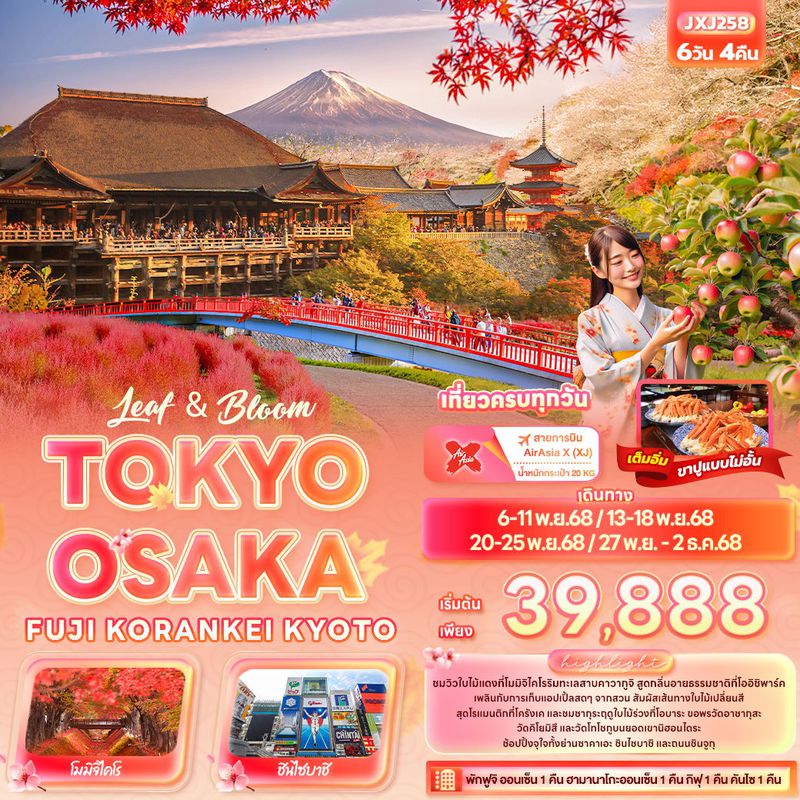 ทัวร์ญี่ปุ่น Leaf & Bloom TOKYO OSAKA FUJI KORANKEI KYOTO 6 วัน 4 คืน