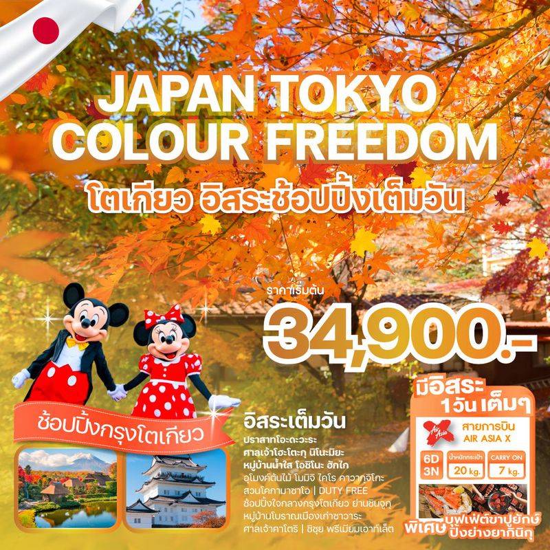 ทัวร์ญี่ปุ่น JAPAN TOKYO COLOUR FREEDOM 6 วัน 3 คืน