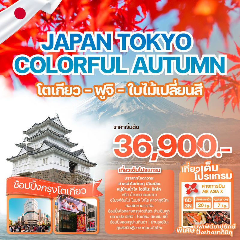 ทัวร์ญี่ปุ่น JAPAN TOKYO COLORFUL AUTUMN ใบไม้เปลี่ยนสี 6 วัน 3 คืน